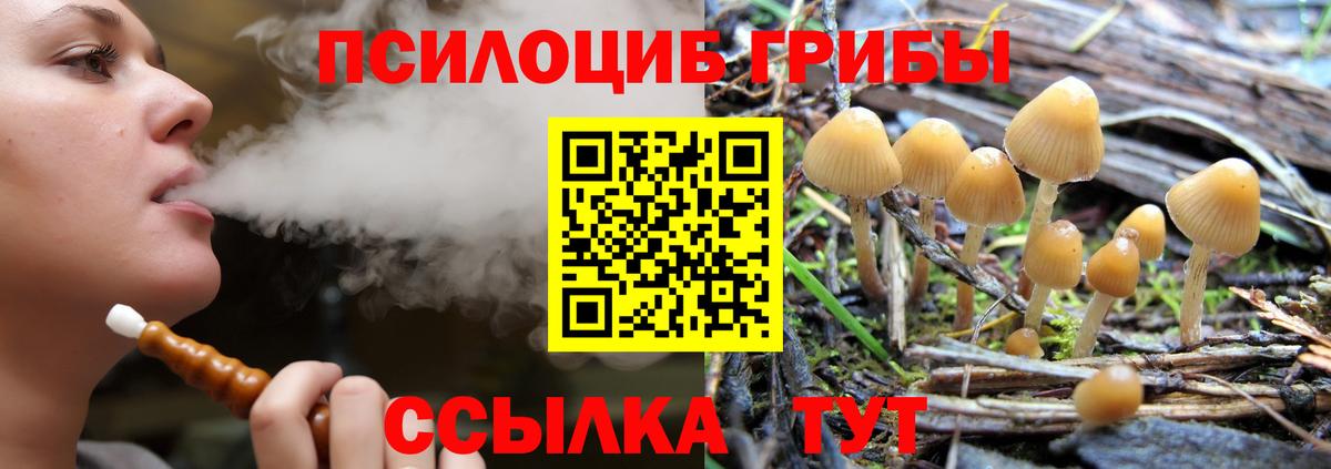 Галлюциногенные грибы Cubensis Майкоп